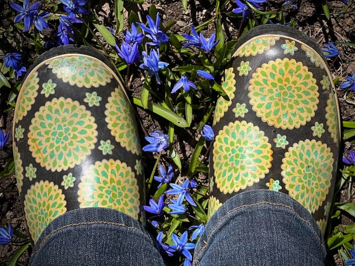 Letters to the editor: April 1, 2026 (folly, compromise, a breathing planet and more)