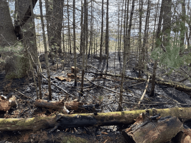 Ellenville barn fire spread to fields and forest, extinguished by multi-agency force