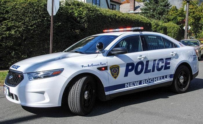 Shootout in New Rochelle